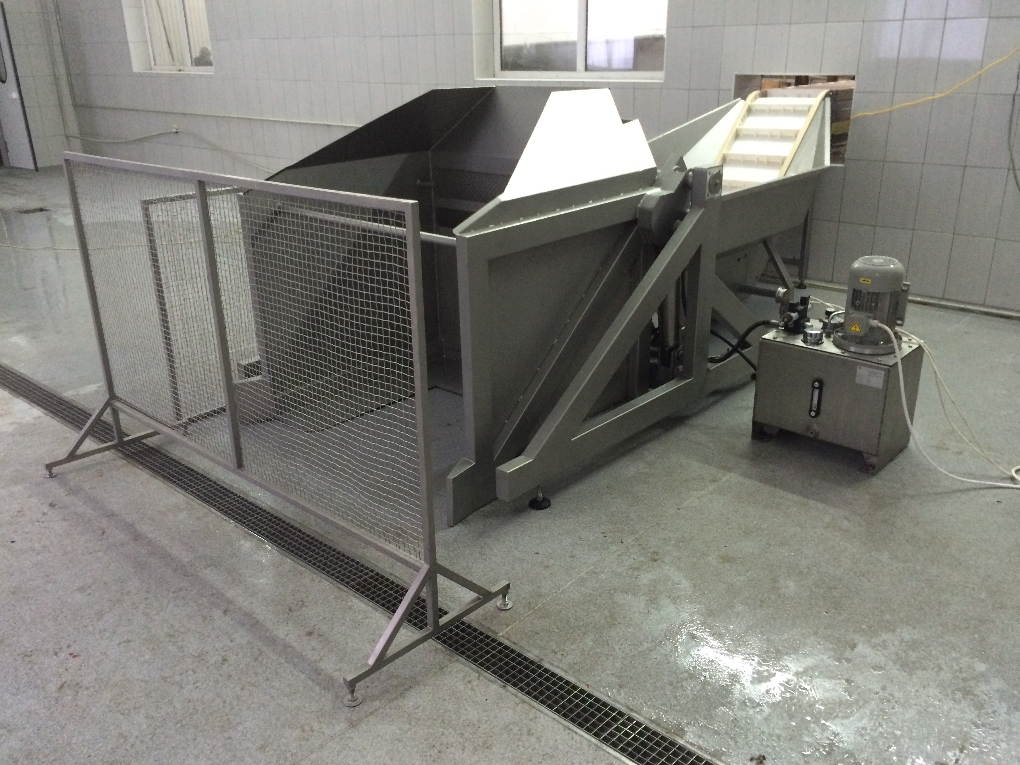 Seaweed (kelp) processing line